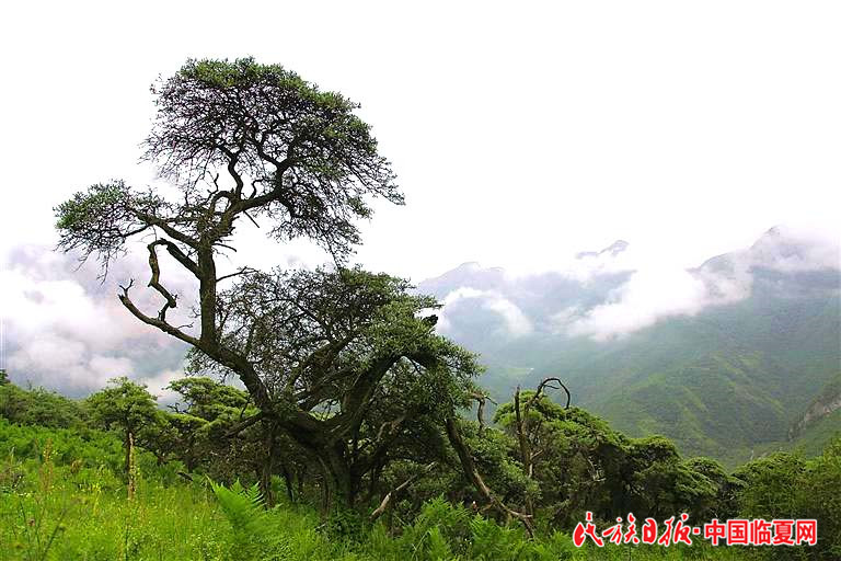 1618803322124344.jpg 57e73382-54f7-4d33-8bb0-7d5a07e3472d.jpg.jpg