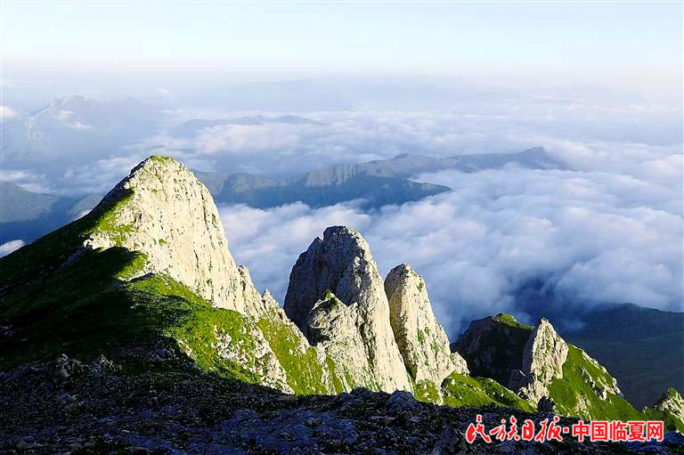 1618803331164689.jpg 79cd1178-9998-442f-8a25-ccdd5a979939.jpg.jpg