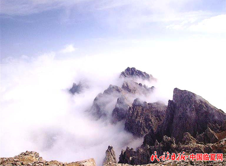 1618803349593291.jpg 4bb8c322-8be5-4ef2-9a81-246737f75aea.jpg.jpg