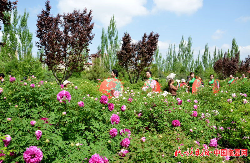 DSC_5723.JPG