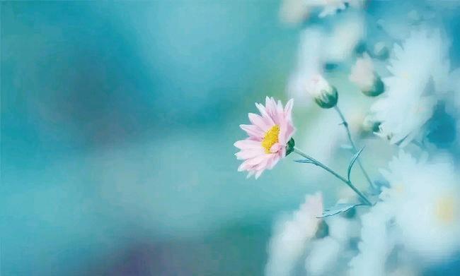 1628472303722612.jpg 7e726a0e-2961-4ab3-bea5-b3e48de26033.jpg.jpg