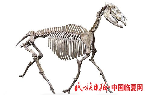 1633408637868993.jpg