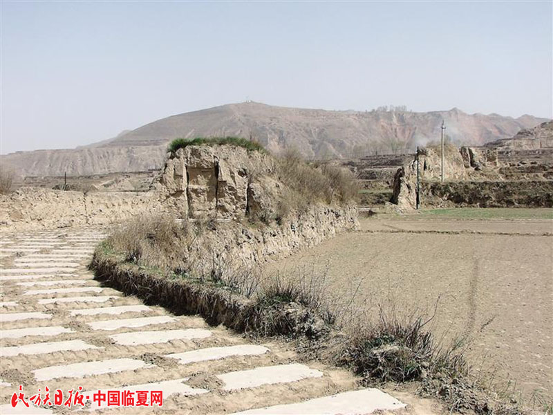 bd16718c-824f-48a4-82a1-4e3d440660b0.jpg.jpg