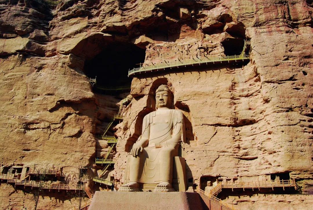 1647505481216461.jpg 1647505481216461.jpg