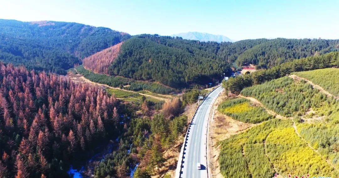 1648622870580681.jpg 1648622870580681.jpg