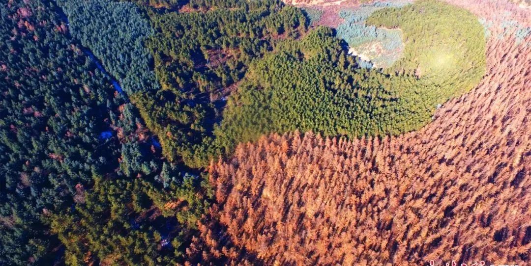 1648622987697581.jpg 1648622987697581.jpg