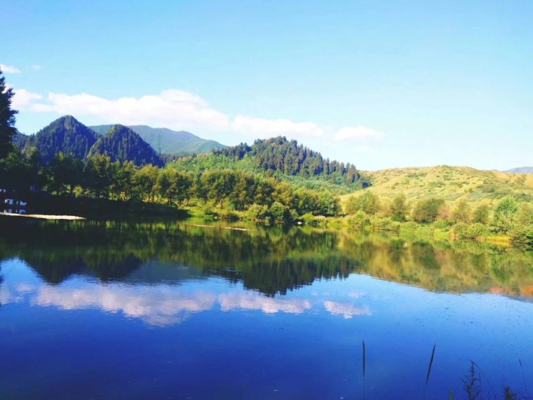 1648623005993474.png 1648623005993474.png