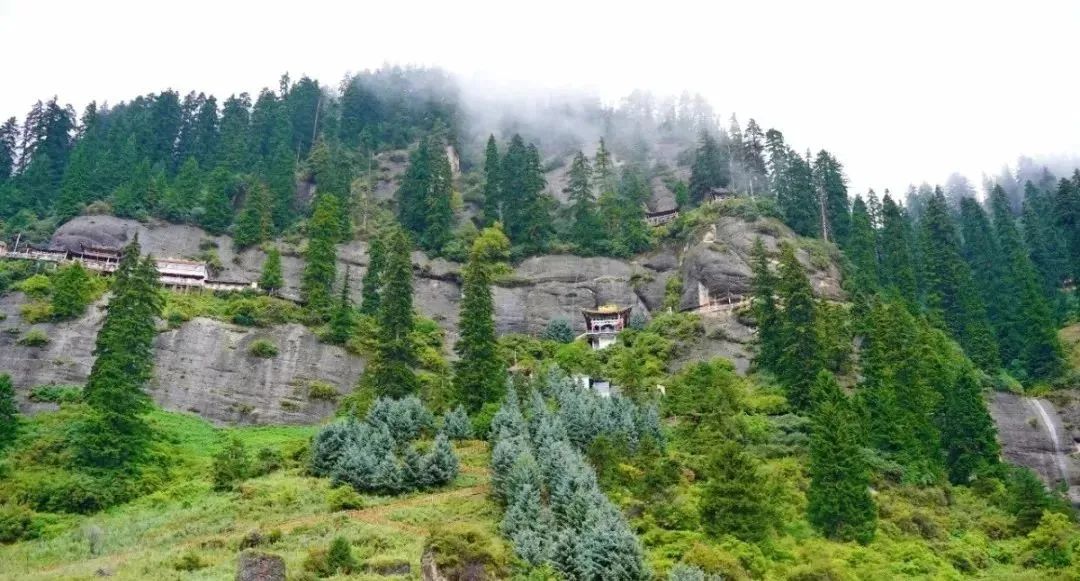 1648623042941912.jpg 1648623042941912.jpg