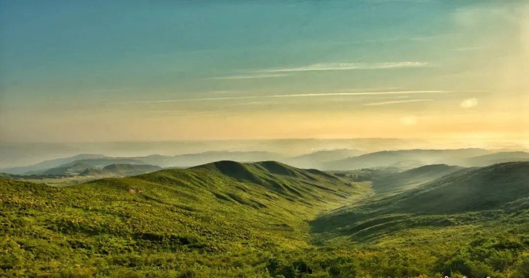 1648623064696957.jpg 1648623064696957.jpg