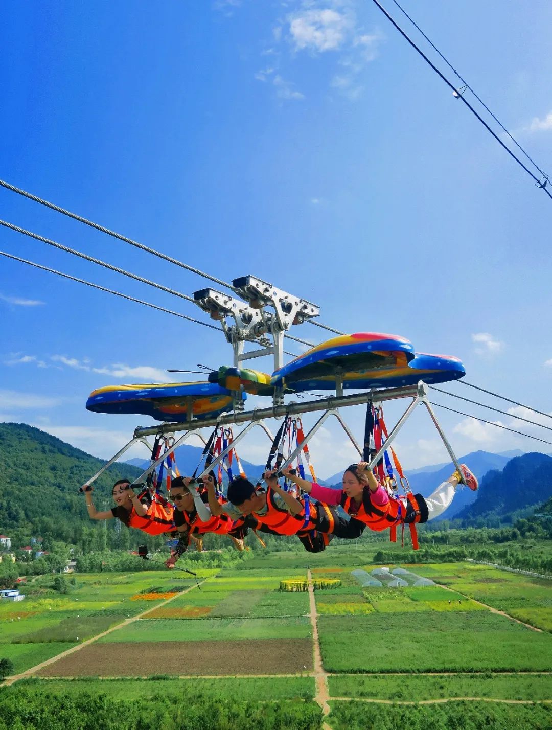 1648623130318858.jpg 1648623130318858.jpg