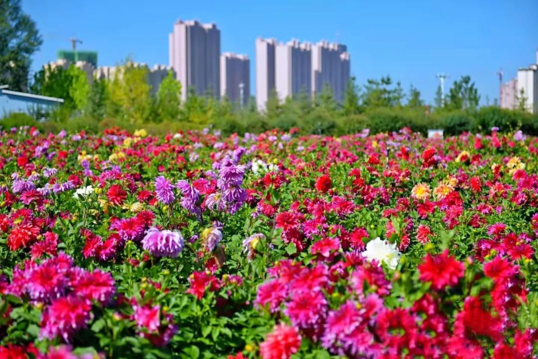 1648623283980692.jpg 1648623283980692.jpg