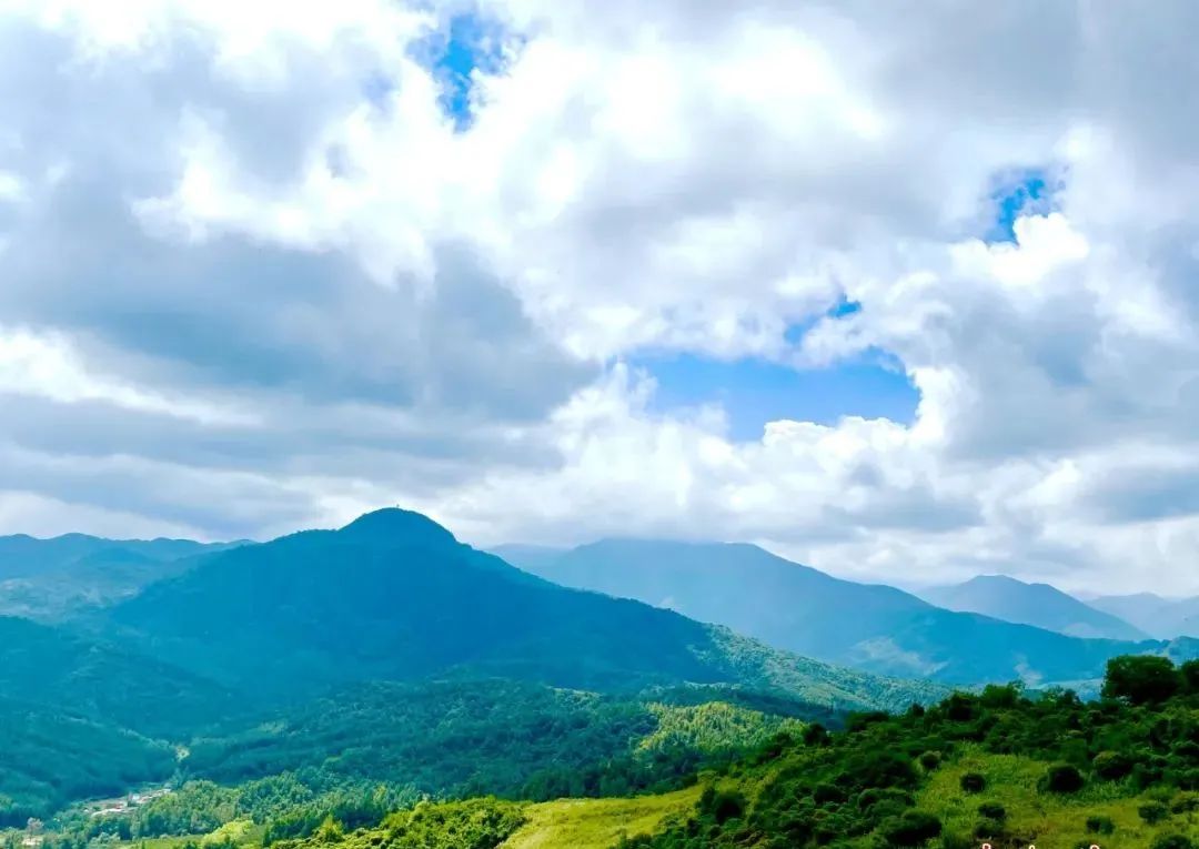 1648623349144098.jpg 1648623349144098.jpg