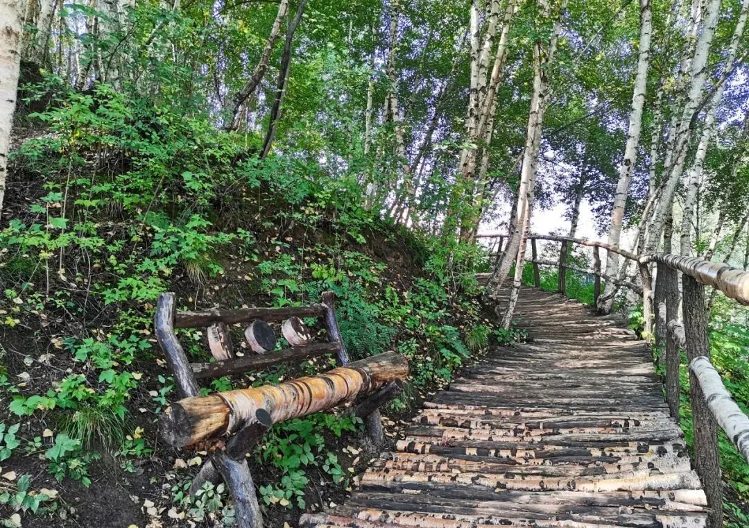 1648623349570100.jpg 1648623349570100.jpg