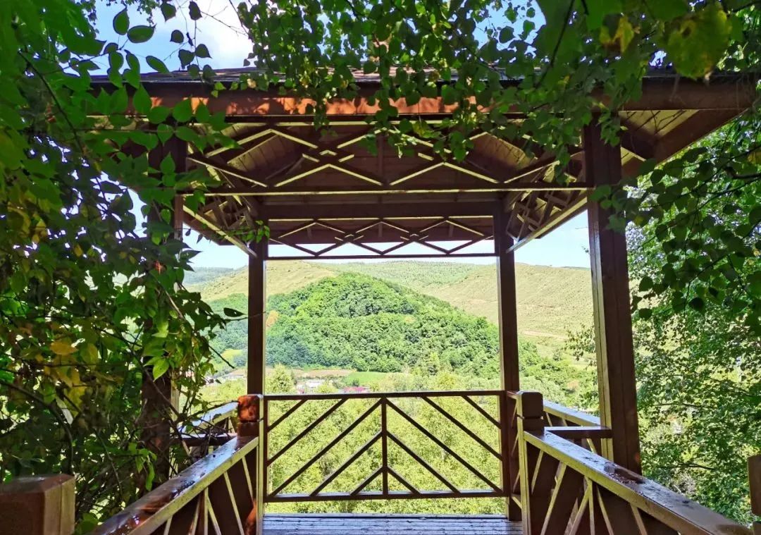 1648623376320783.jpg 1648623376320783.jpg