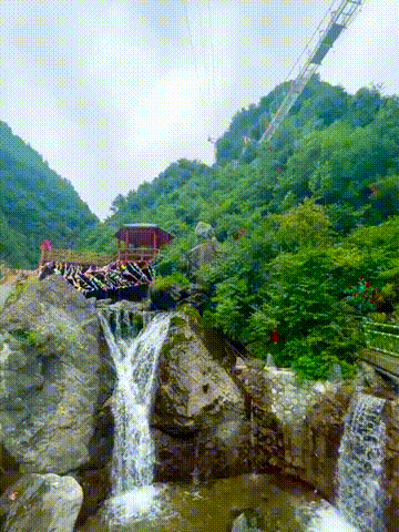 1648633056907726.gif 1648633056907726.gif