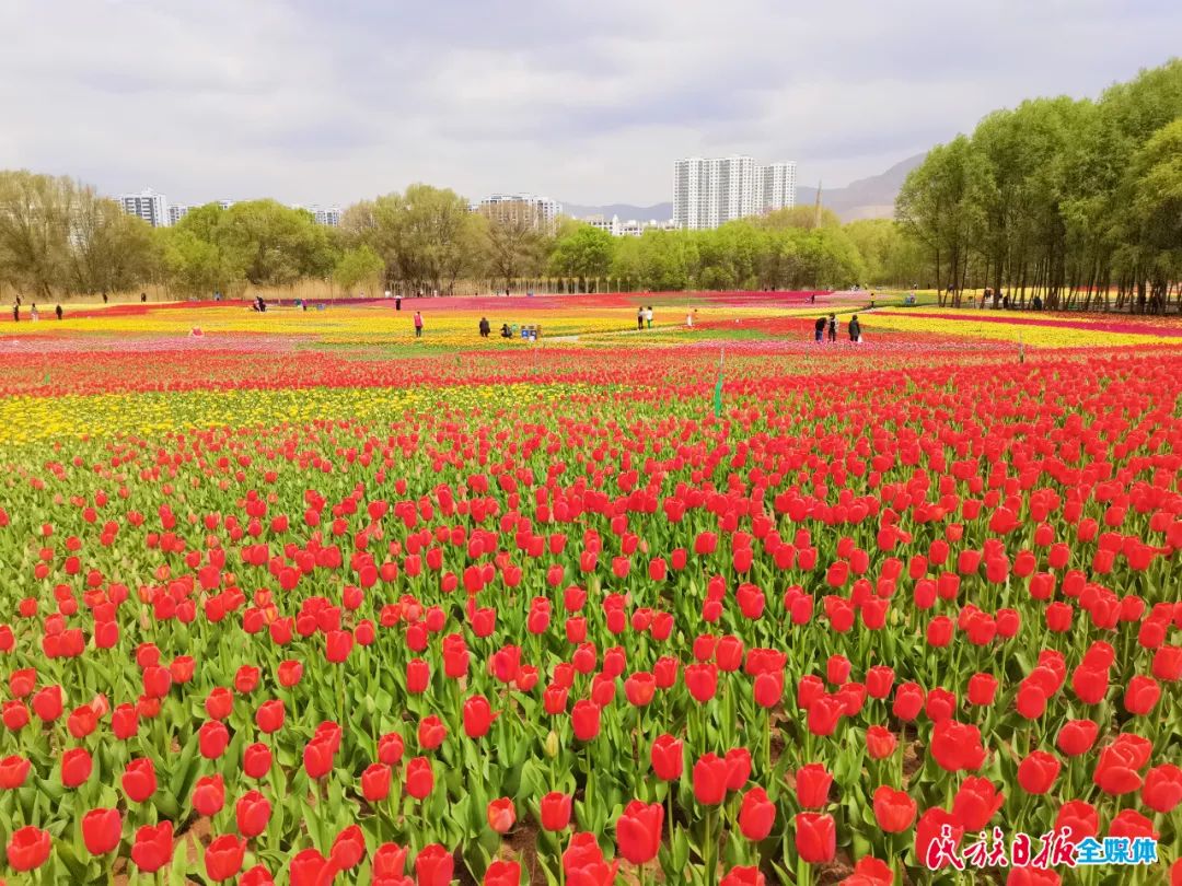 1651802333422148.jpg 1651802333422148.jpg