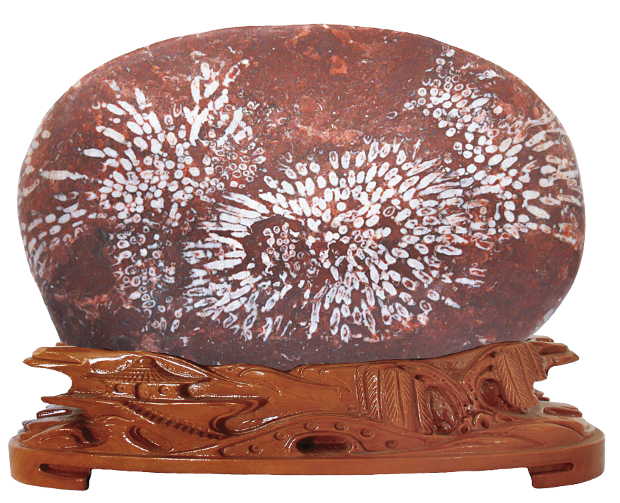 1656034433880595.png 1656034433880595.png