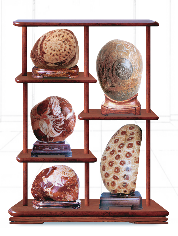 1656034448851702.png 1656034448851702.png