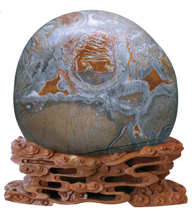 1656034502923367.png 1656034502923367.png