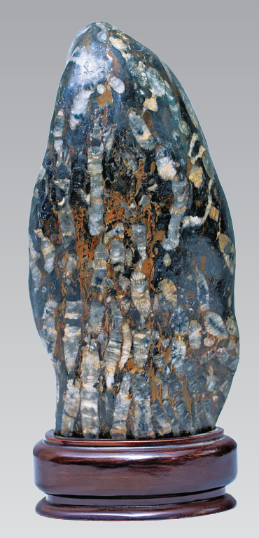 1656034520911806.png 1656034520911806.png