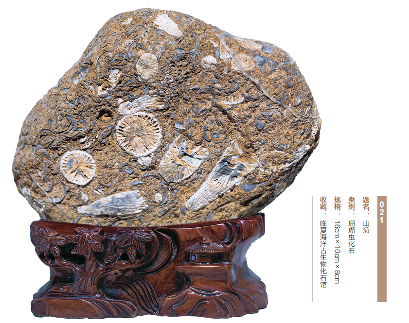 1656034537360606.png 1656034537360606.png