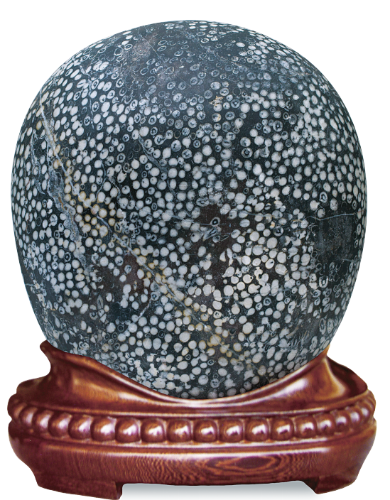 1656034579952595.png 1656034579952595.png