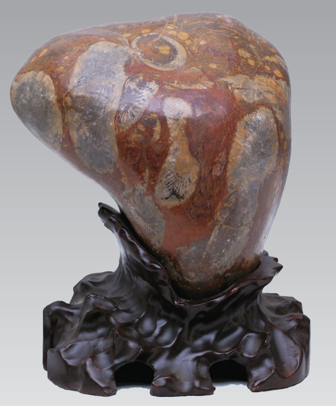 1656034623522280.png 1656034623522280.png