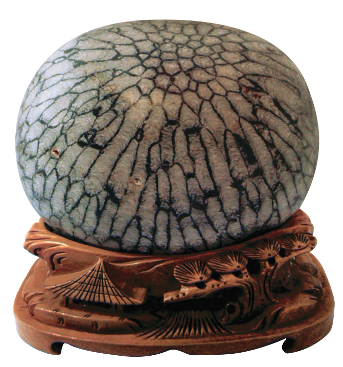 1656034641514404.png 1656034641514404.png