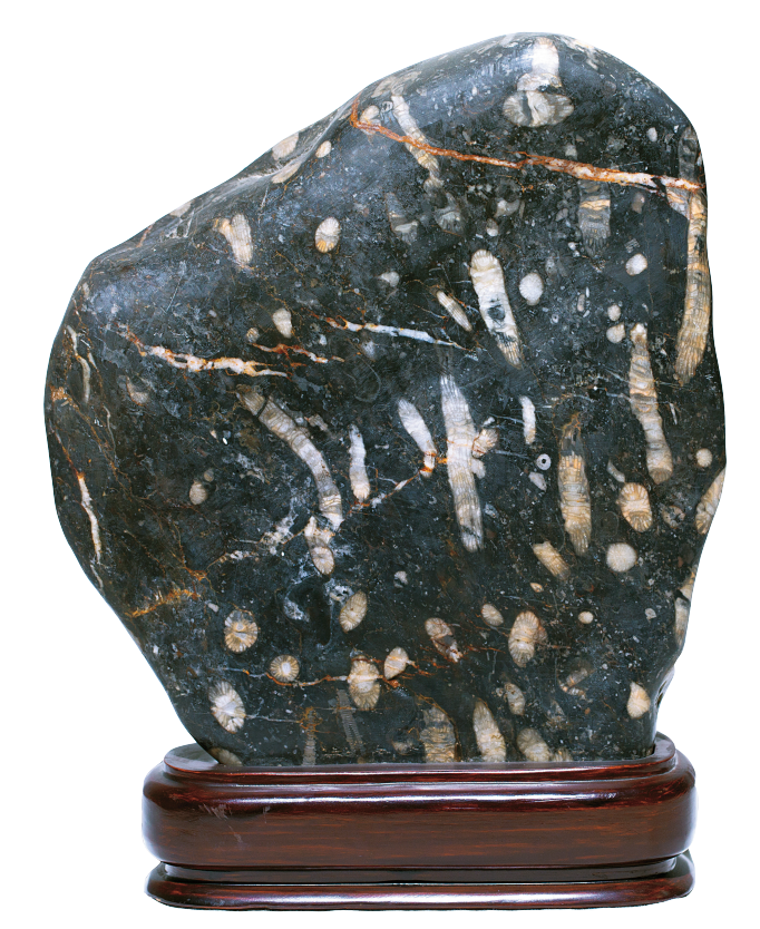 1656034667612983.png 1656034667612983.png