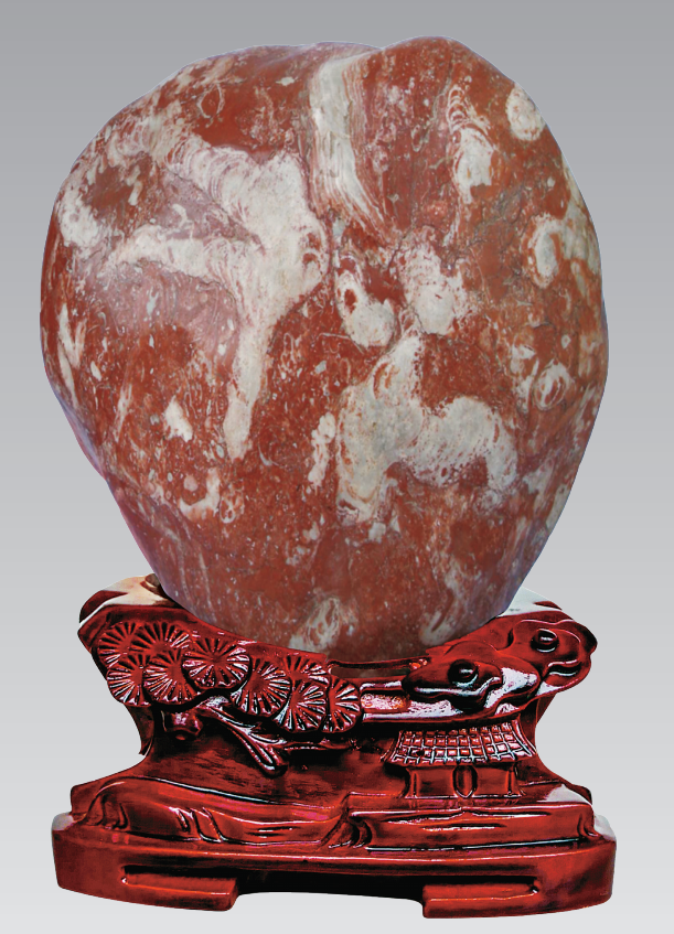 1656034684576064.png 1656034684576064.png