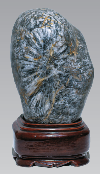 1656034717262247.png 1656034717262247.png