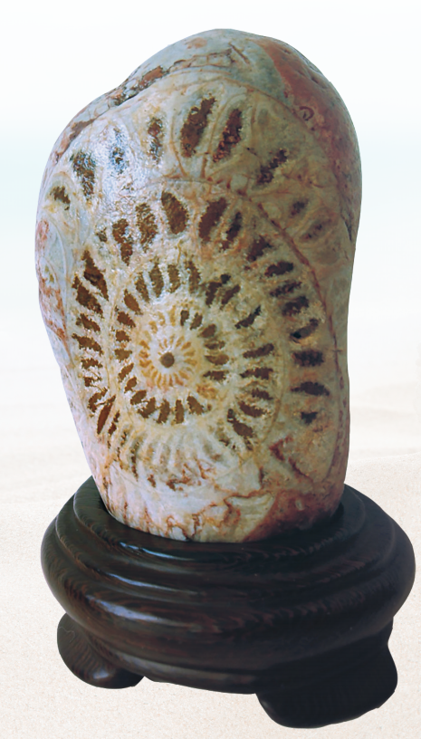 1656034735924708.png 1656034735924708.png