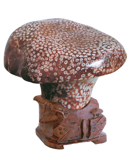 1656034761807528.png 1656034761807528.png