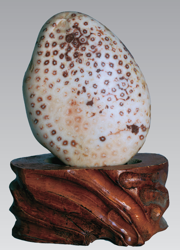 1656034779301994.png 1656034779301994.png