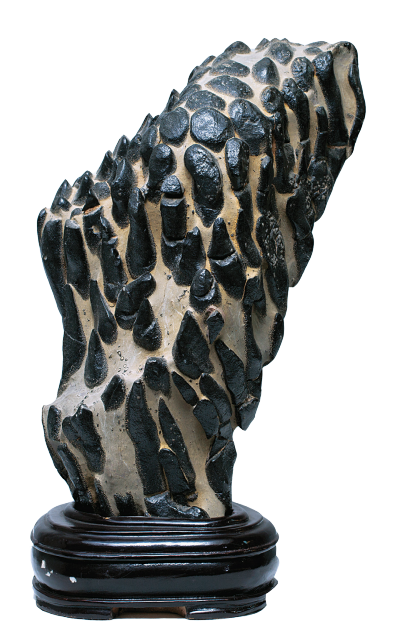 1656034793987002.png 1656034793987002.png