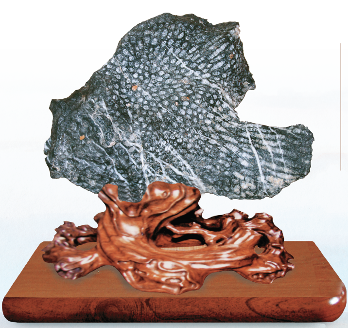 1656034809488413.png 1656034809488413.png