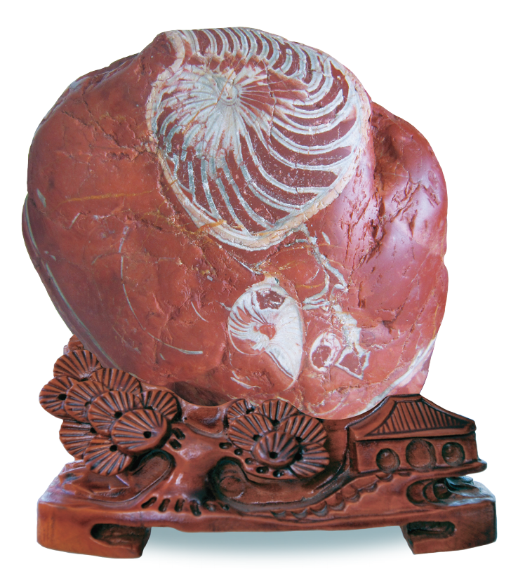 1656034829785241.png 1656034829785241.png