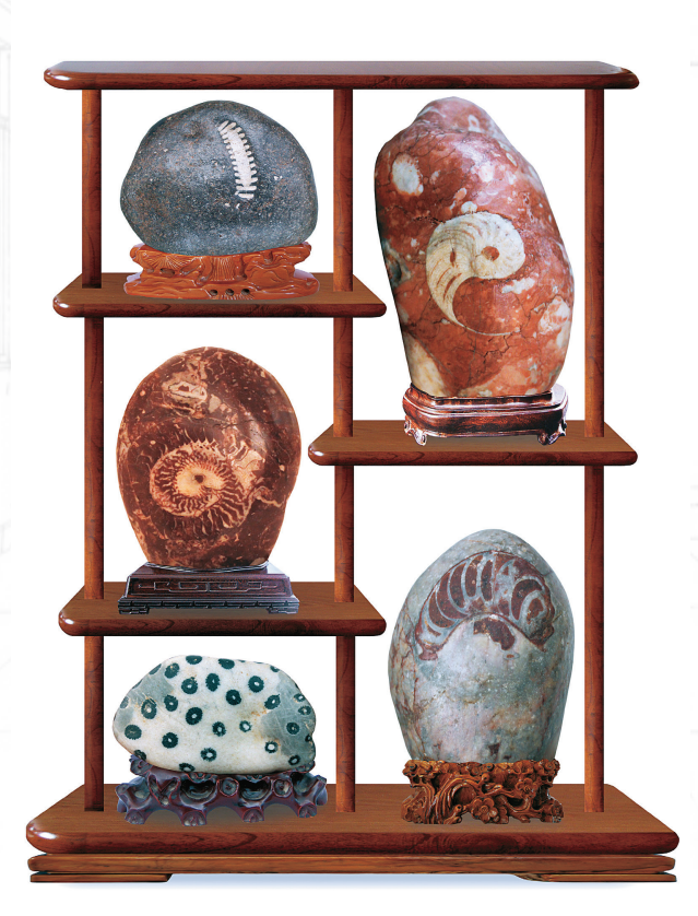 1656034857770780.png 1656034857770780.png