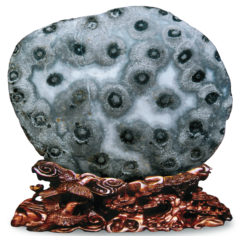 1656034896100465.png 1656034896100465.png