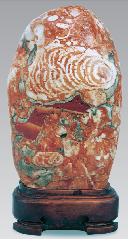 1656034912420723.png 1656034912420723.png