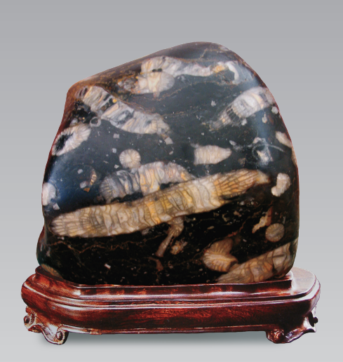 1656034929649604.png 1656034929649604.png