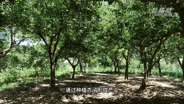 1656920565585461.gif 1656920565585461.gif