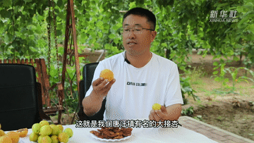1656920565658186.gif 1656920565658186.gif