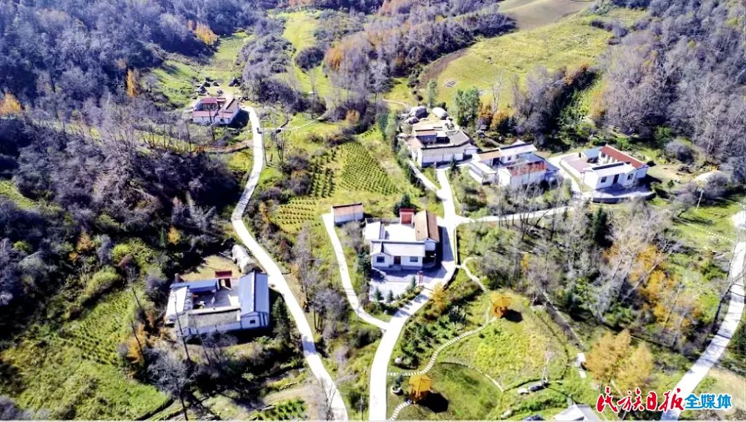 1661994221524896.jpg