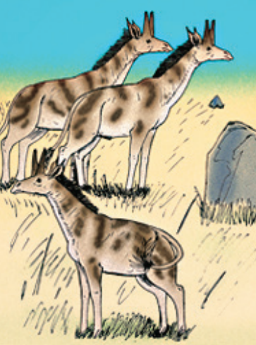 1665646953929314.png
