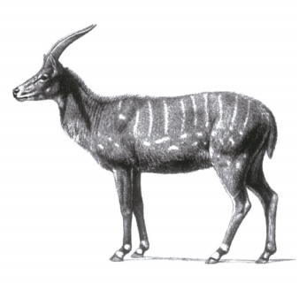 1665647133230320.png