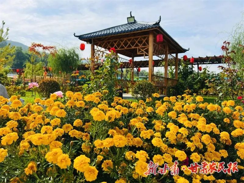 微信图片_20221024100021.jpg