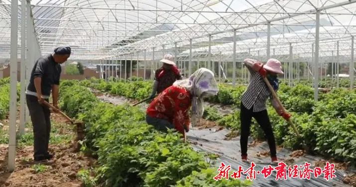 微信图片_20221025091806.jpg
