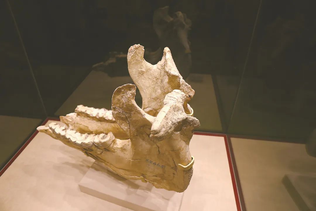 1668388046279995.jpg 1668388046279995.jpg