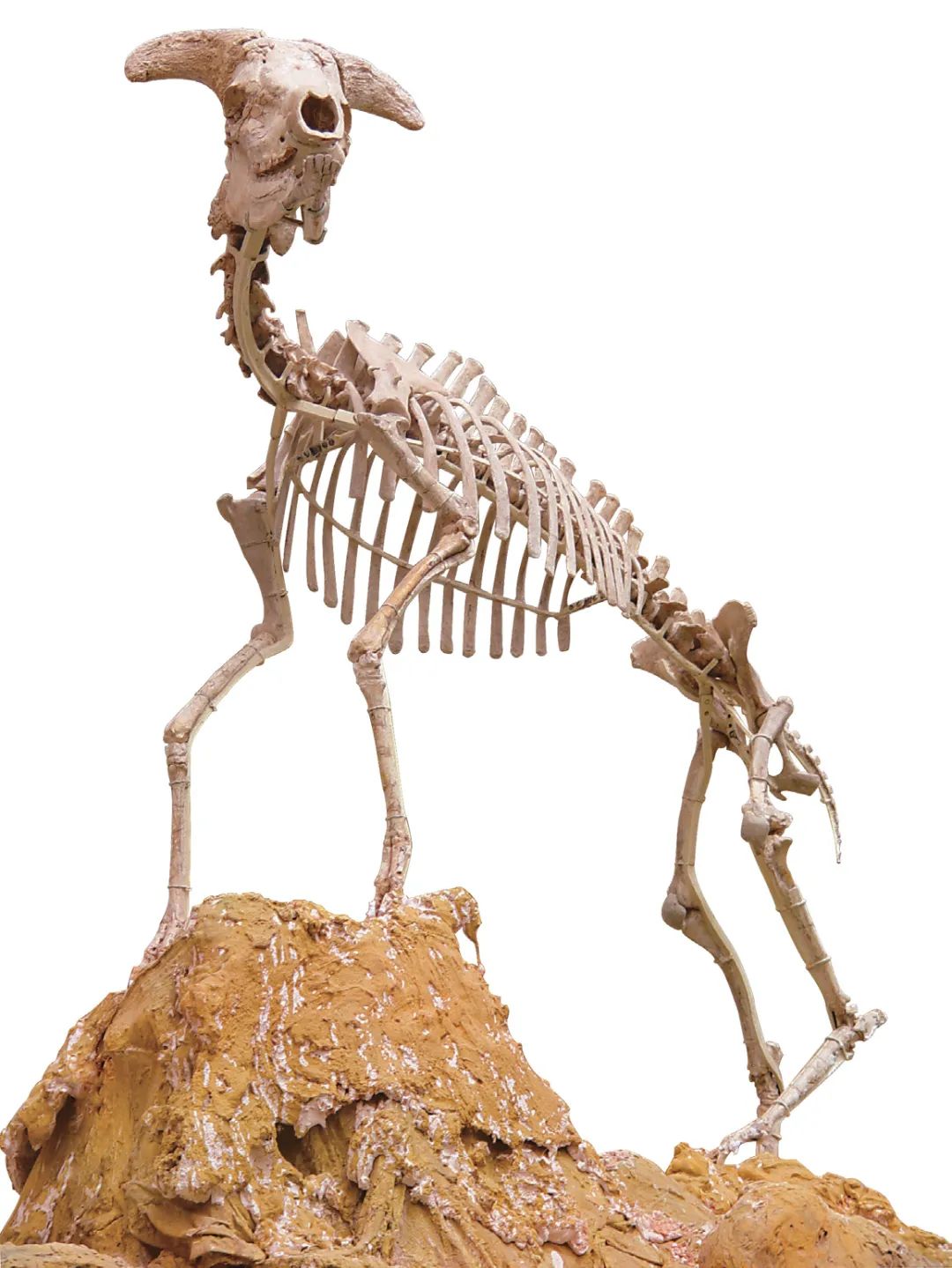 1668388130295719.jpg 1668388130295719.jpg